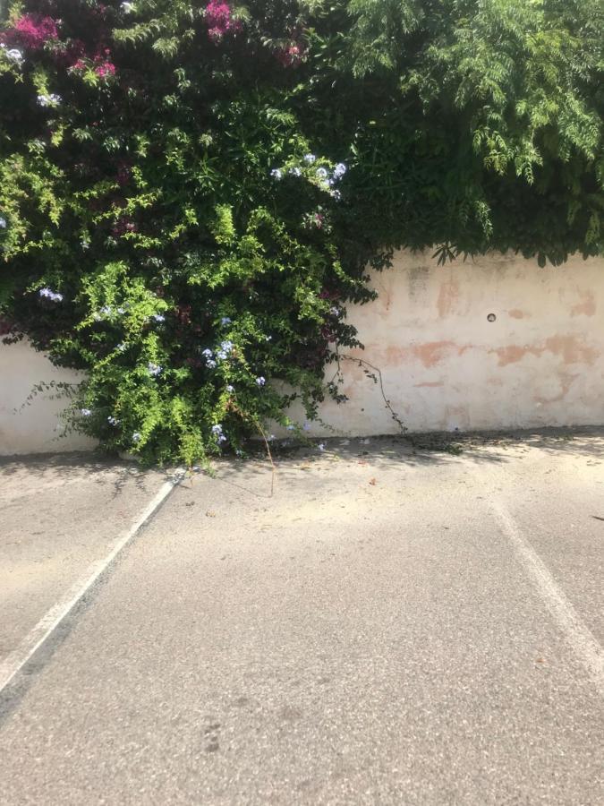 Studio 2 Adultes 2 Enfants Sanary Sur Mer A 800M De La Mer Exterior photo